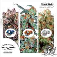 Dutch Passion Seeds Coloured Mix 4